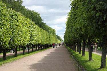 Similar image 729098