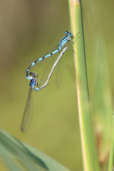 Similar image 729107