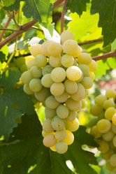 Similar image 729138