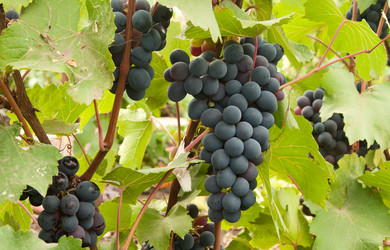 Similar image 729144