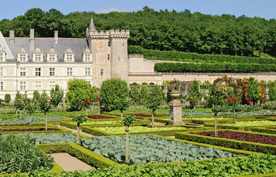 Similar image 729151