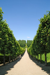 Similar image 729159