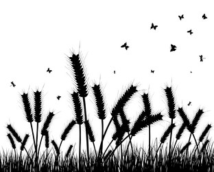 Similar image 729165