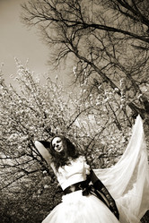 Similar image 729187