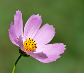 Similar image 729199