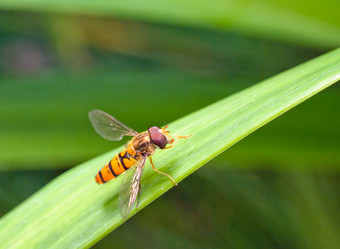 Similar image 729200