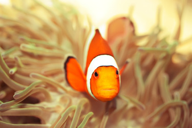 Similar image 729216