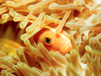 Similar image 729217