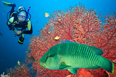 Similar image 729228