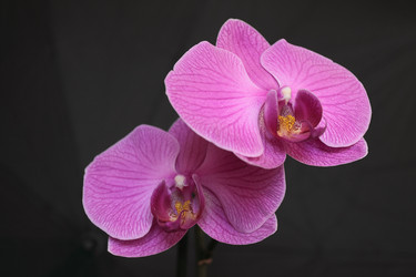 Similar image 729231