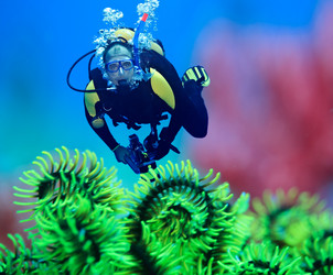 Similar image 729232