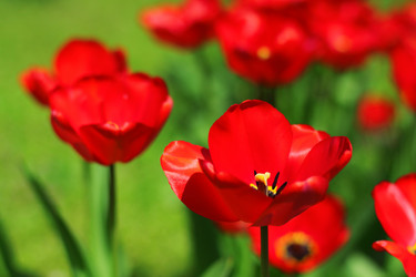 Similar image 729336