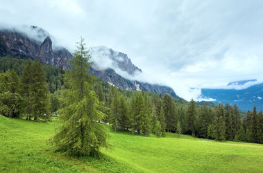 Similar image 729354