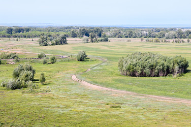 Similar image 729359