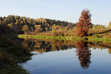 Similar image 729374