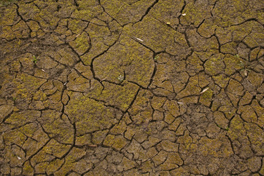 Similar image 729388