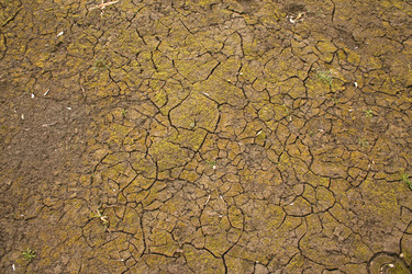 Similar image 729389