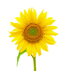 Similar image 729401