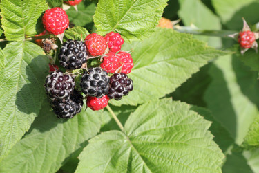 Similar image 729406