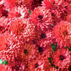 Similar image 729407