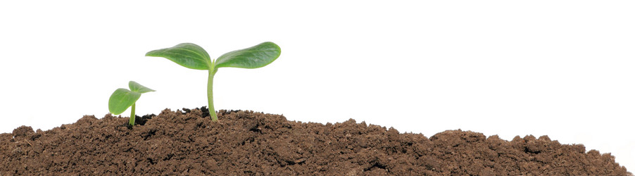 Similar image 729408