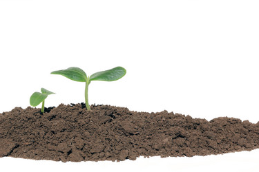 Similar image 729411