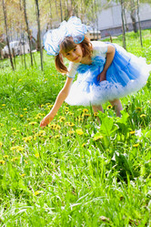 Similar image 729454