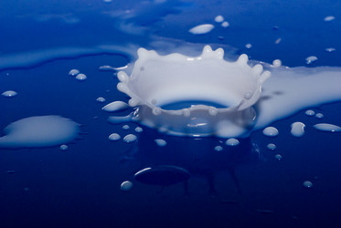 Similar image 729494