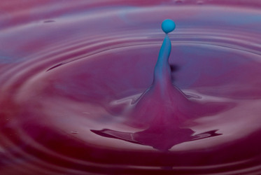 Similar image 729498