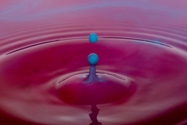 Similar image 729499