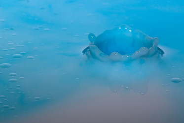 Similar image 729511