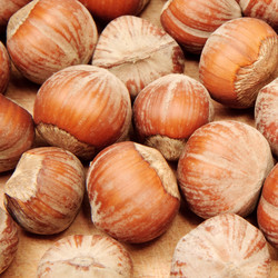 Similar image 729523