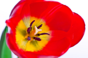 Similar image 729529