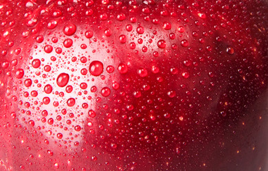 Similar image 729533