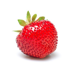 Similar image 729540