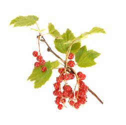 Similar image 729587