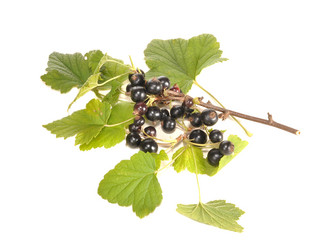 Similar image 729589