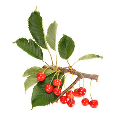 Similar image 729592