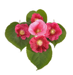 Similar image 729597