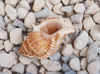 Similar image 729614