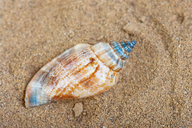 Similar image 729638