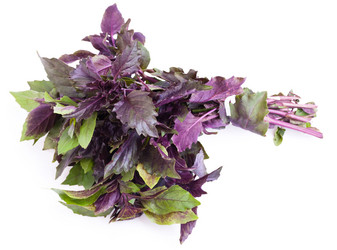 Similar image 729646