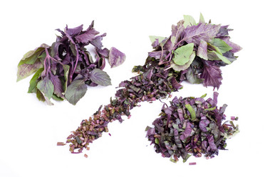 Similar image 729647