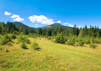 Similar image 729658