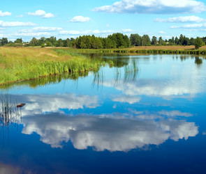 Similar image 729666