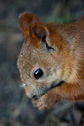 Similar image 729721