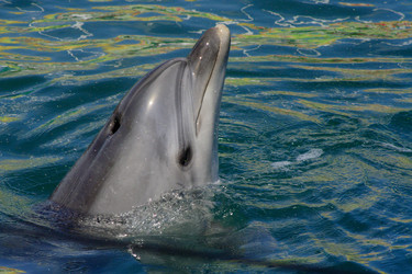 Similar image 729757