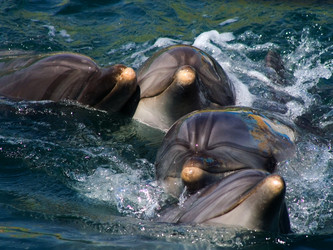 Similar image 729759