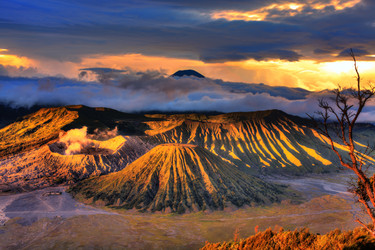 Similar image 729774