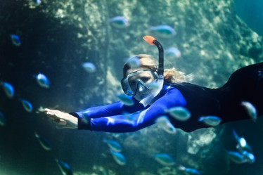 Similar image 729797